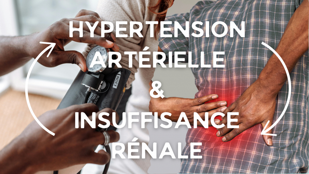 le cycle infernal de l'insuffisance rénale et de l'hypertension artérielle. 